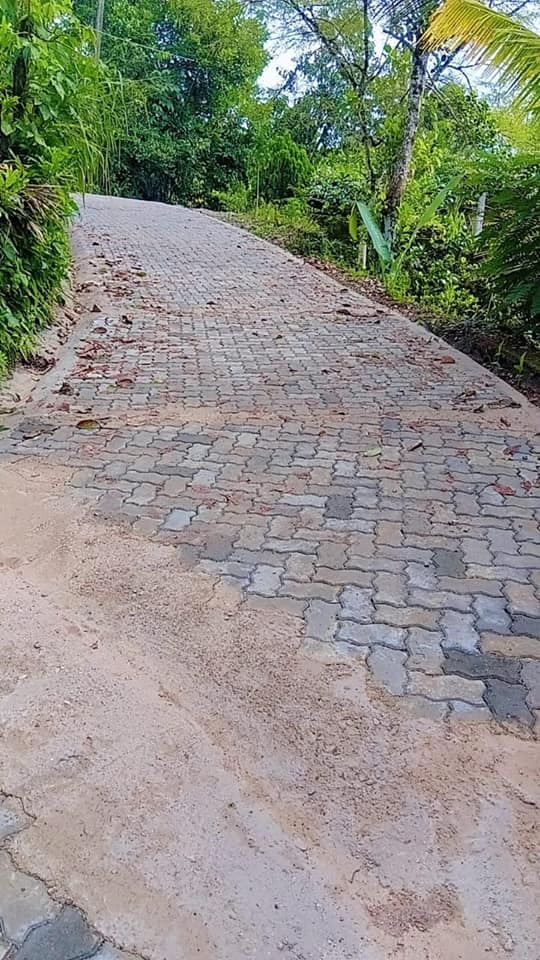686941643_2017629188838209_5814513192243062099_n